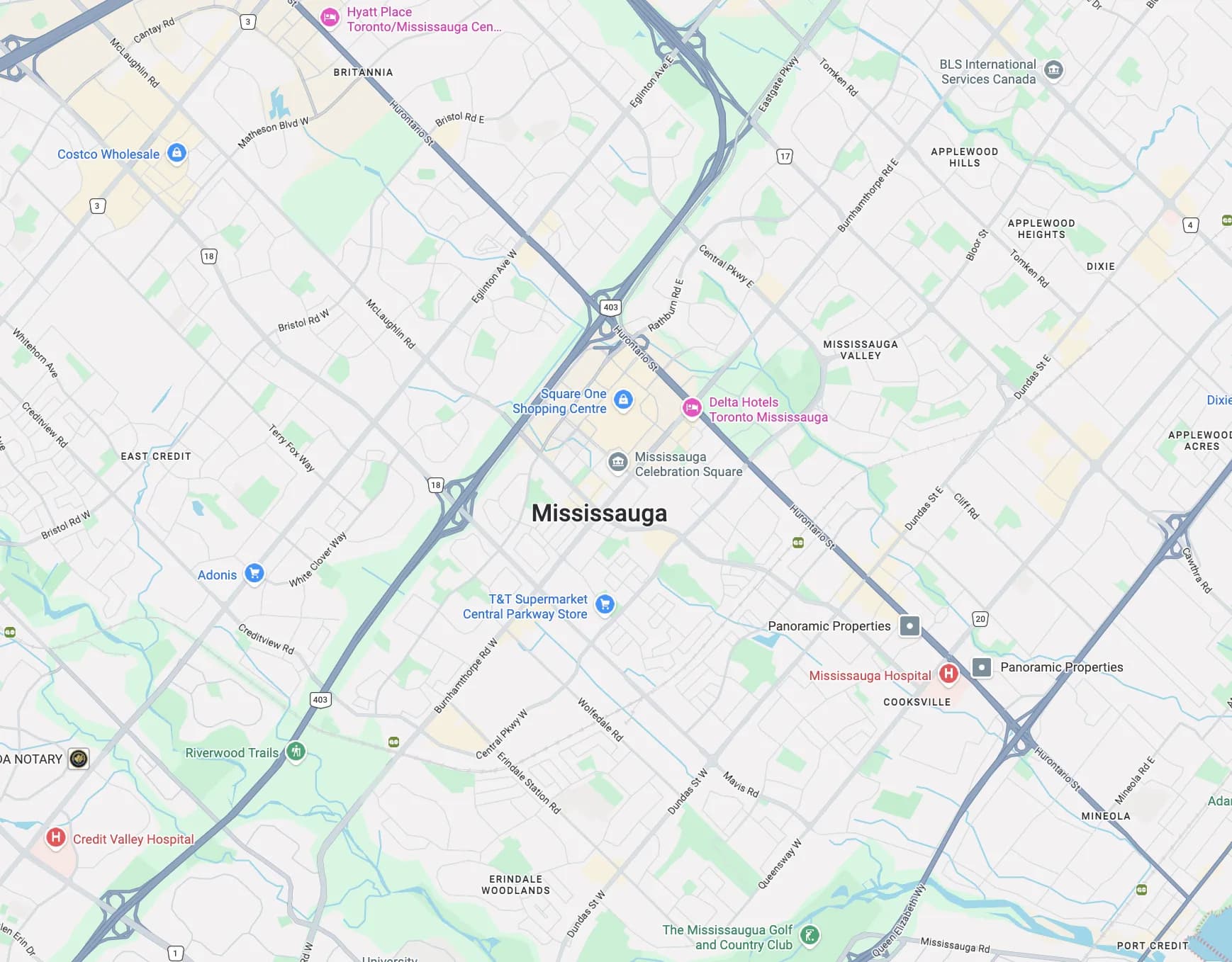 Live rank-grid report showing local keyword positions across Mississauga